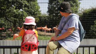動物園を訪れる家族